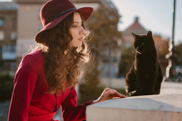 Best Places to Travel Internationally with a Cat