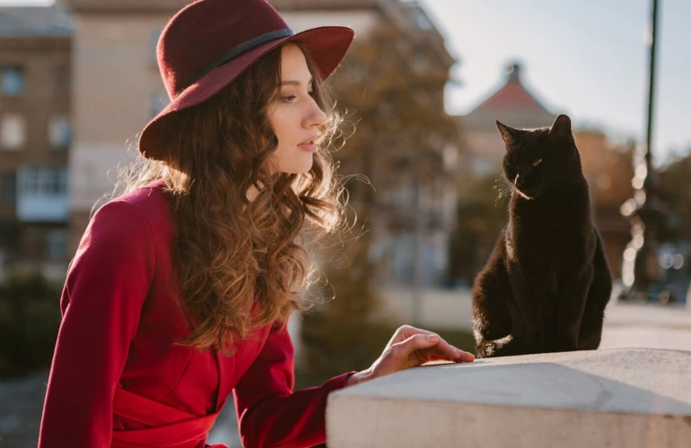 Best Places to Travel Internationally with a Cat