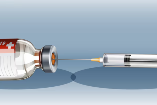 Endoscope Insertion Tube